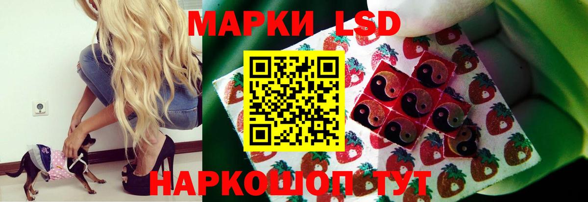 hydra маркетплейс  Вход с VPN  Нижнеудинск  Лсд 25 экстази кислота 