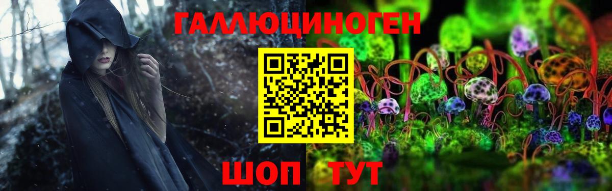 Галлюциногенные грибы Psilocybe  Вход с VPN  Нижнеудинск 